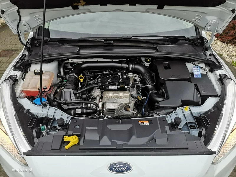 Ford Focus III 24