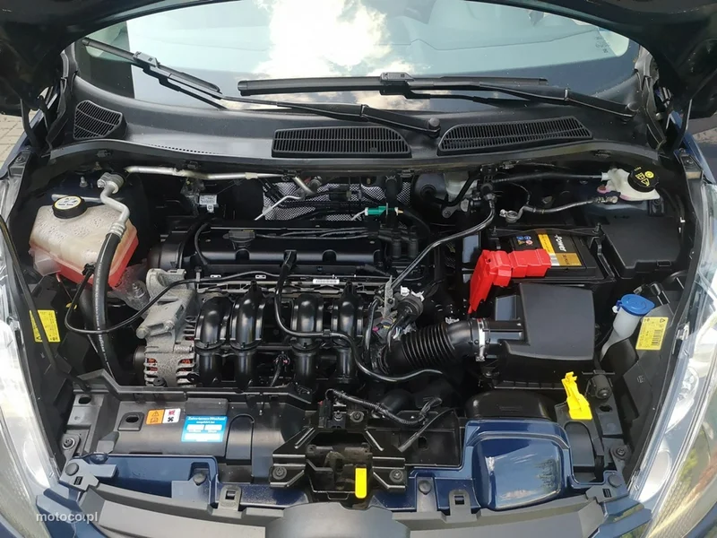 Ford Fiesta VI 19
