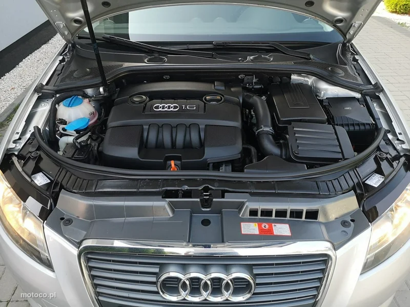 Audi A3 8P 22