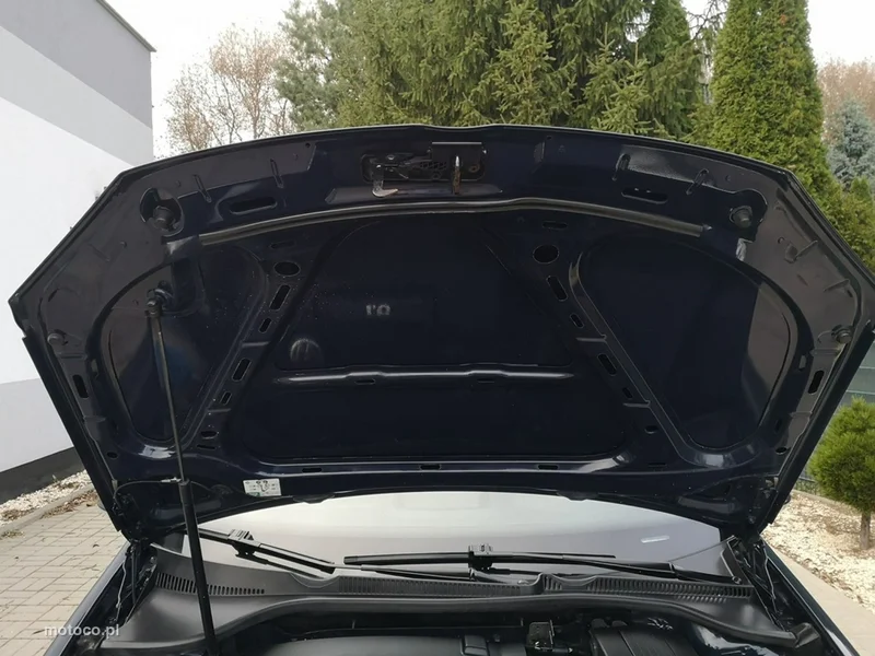 Volkswagen Golf V 19