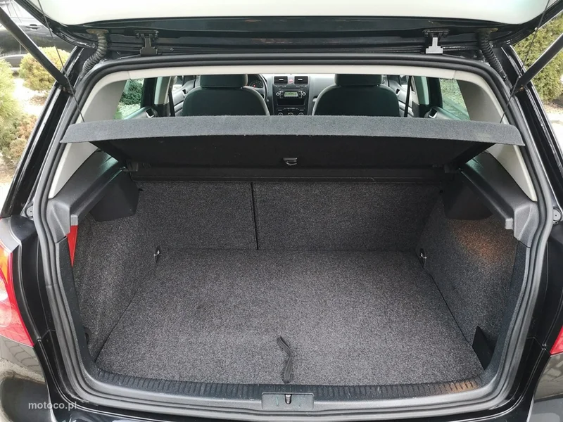 Volkswagen Golf V 19