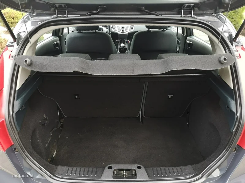 Ford Fiesta VI 19