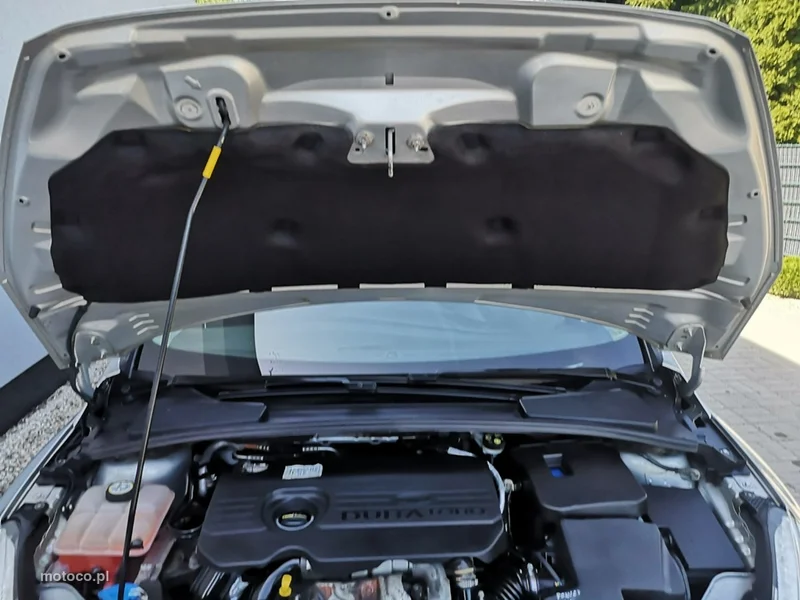 Ford Focus III 24