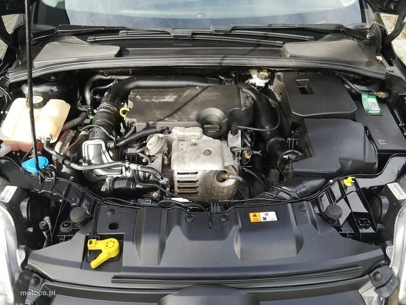 Ford Focus III 23