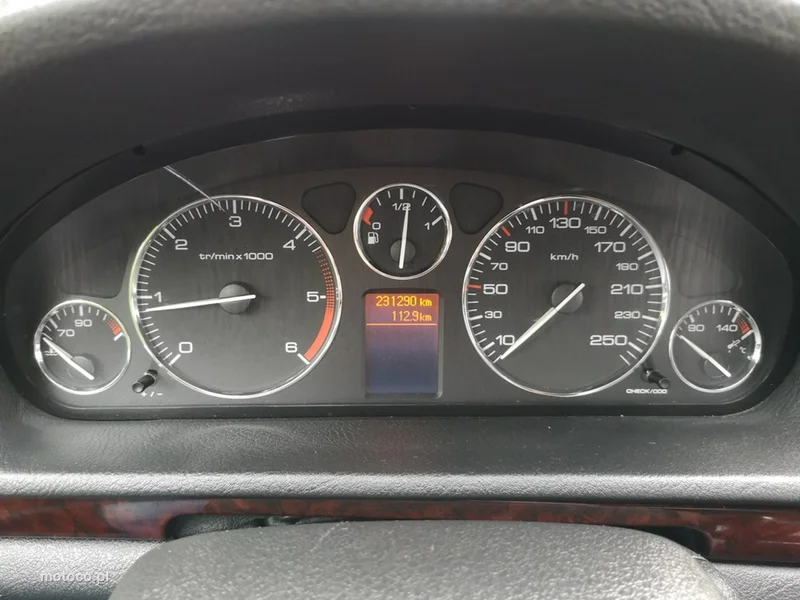 Peugeot 407 13