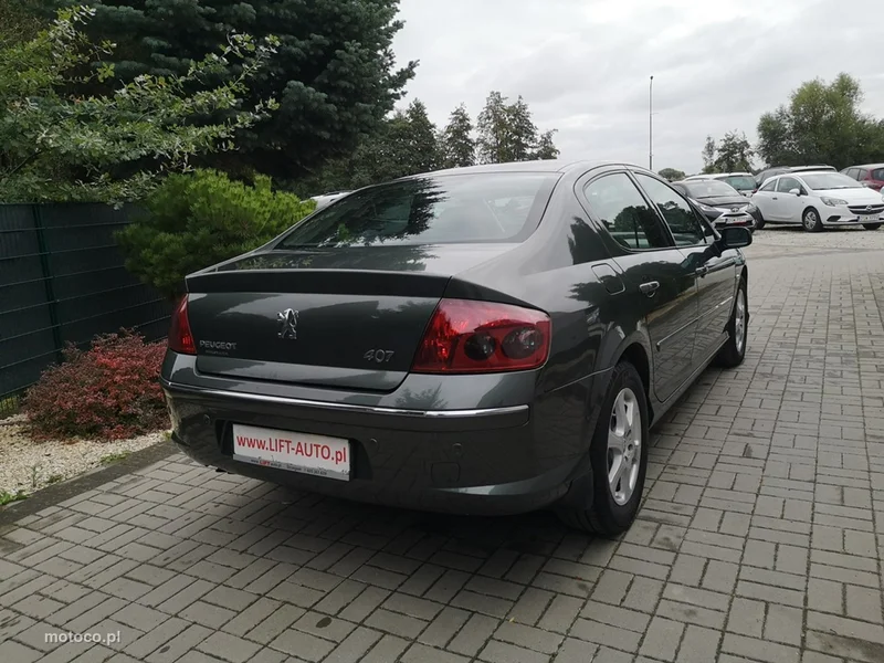 Peugeot 407 6