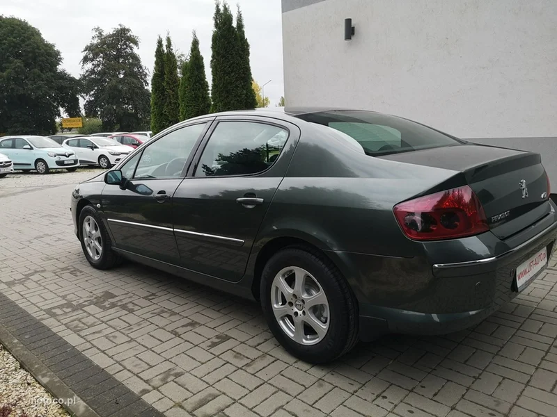 Peugeot 407 9
