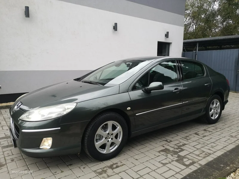 Peugeot 407 10