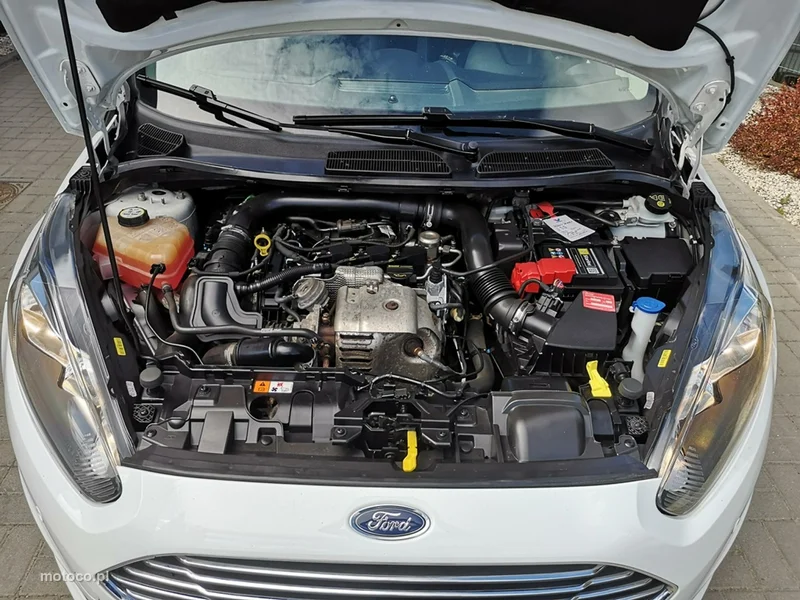 Ford Fiesta VI 25