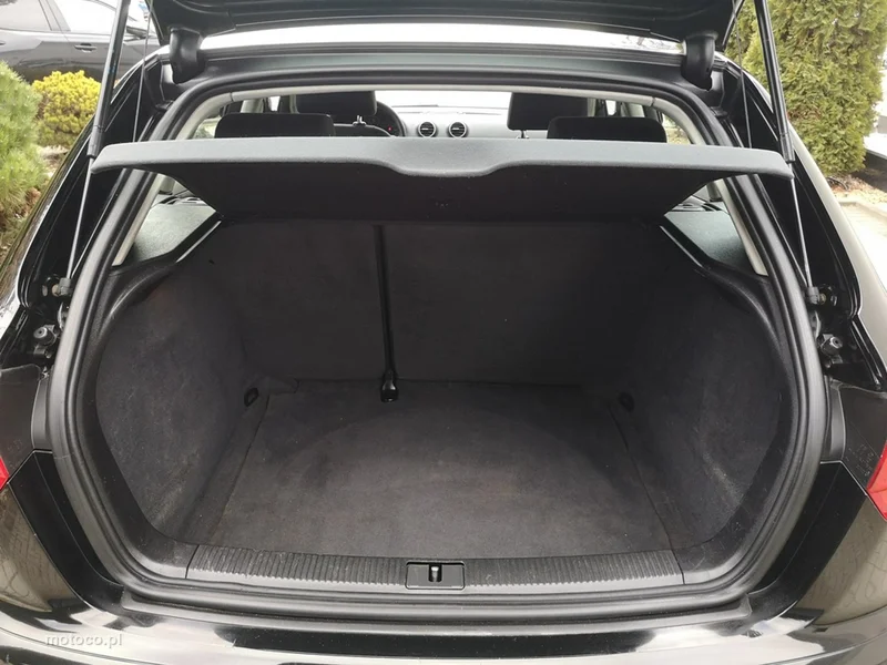 Audi A3 8P 20