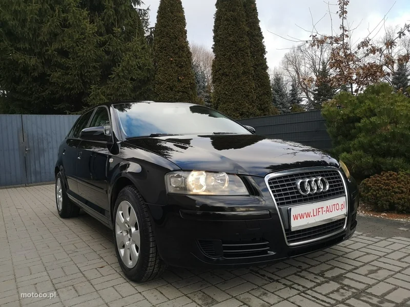 Audi A3 8P 3