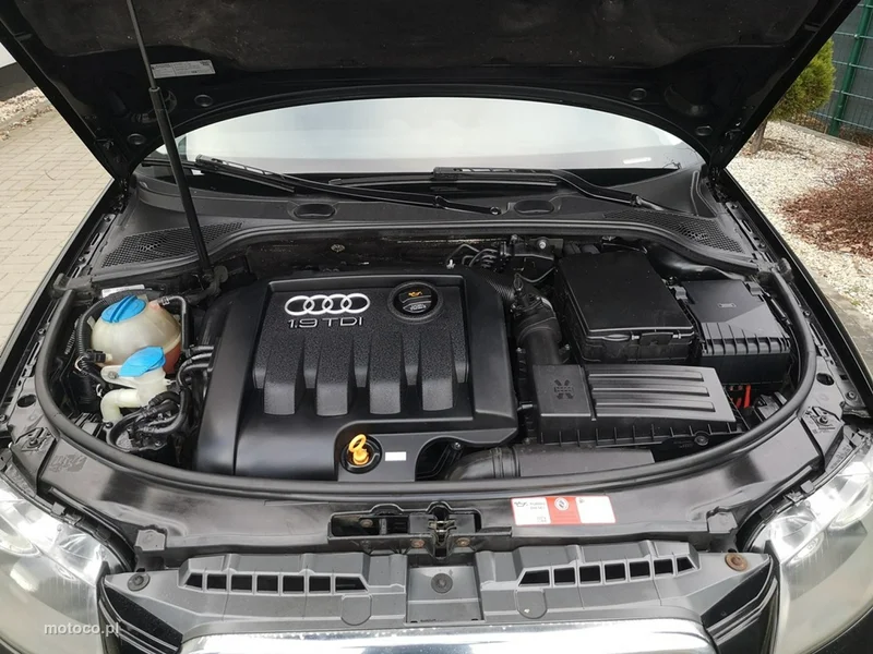 Audi A3 8P 22