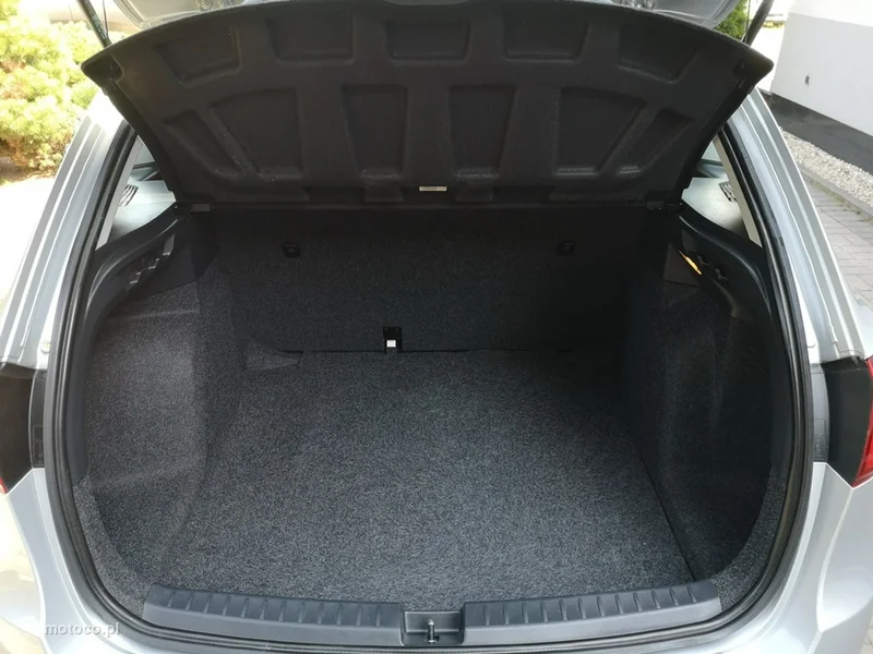 Seat Ibiza 20