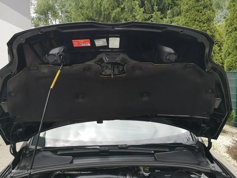 Ford Focus III 22