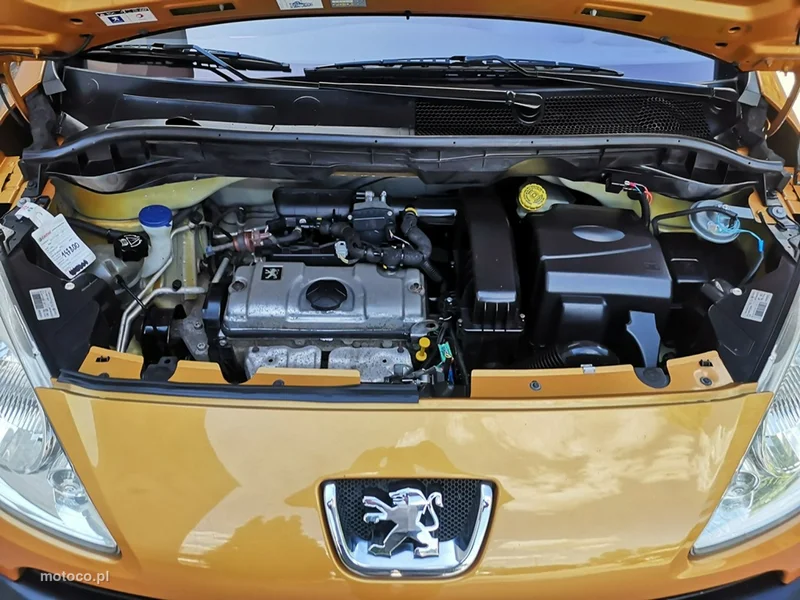Peugeot 1007 24