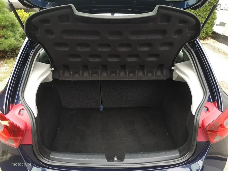 Seat Ibiza 19
