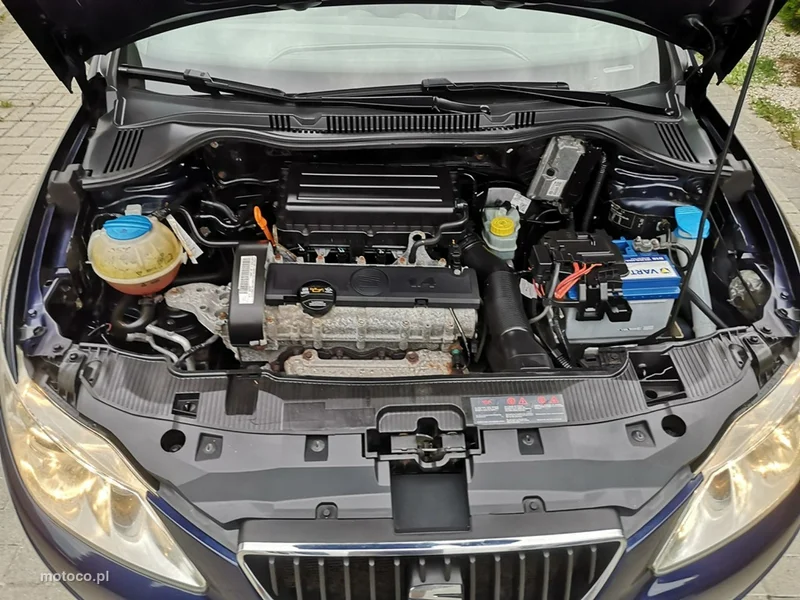 Seat Ibiza 21
