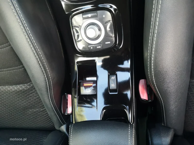 Renault Megane III 20