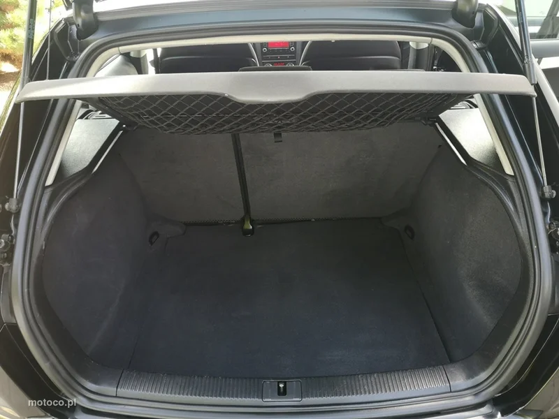 Audi A3 8P 20