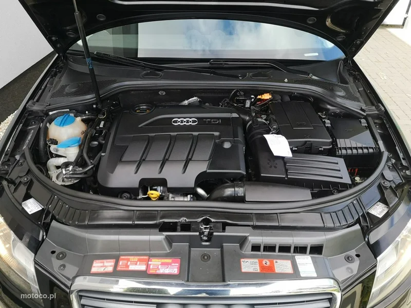 Audi A3 8P 24
