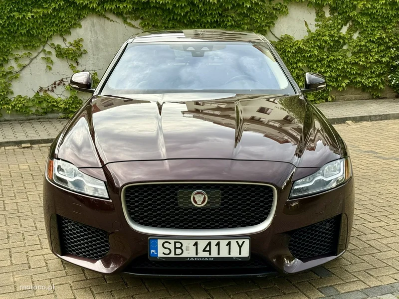 Jaguar XF 11