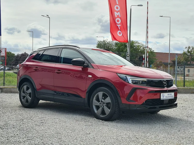 Opel Grandland I 8