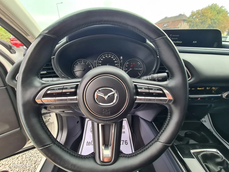 Mazda CX-30 21