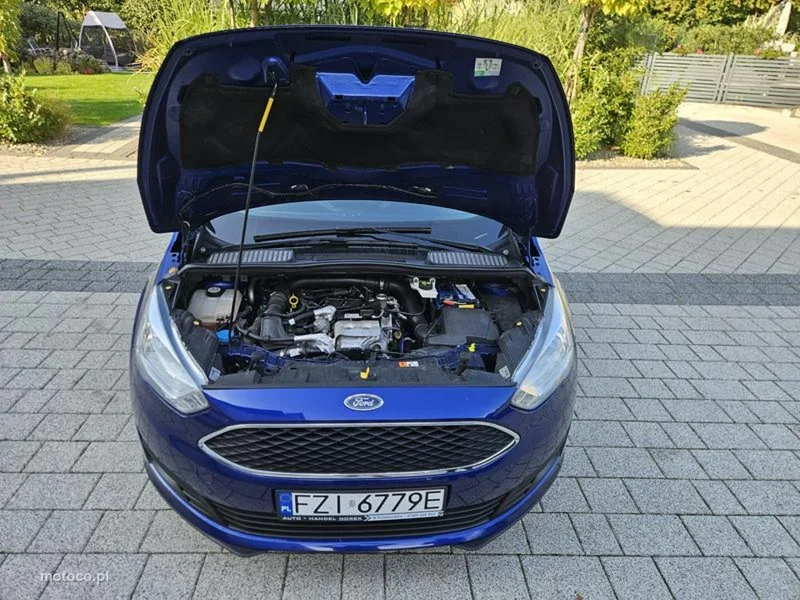 Ford C-Max II 18