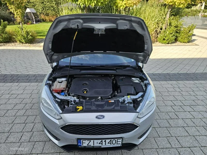 Ford Focus III 17