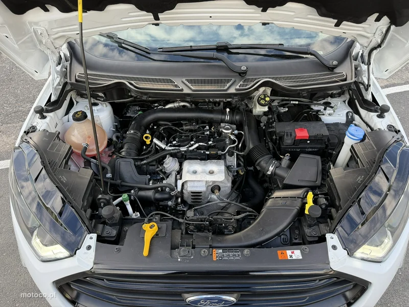 Ford EcoSport 3
