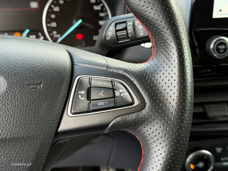 Ford EcoSport 24
