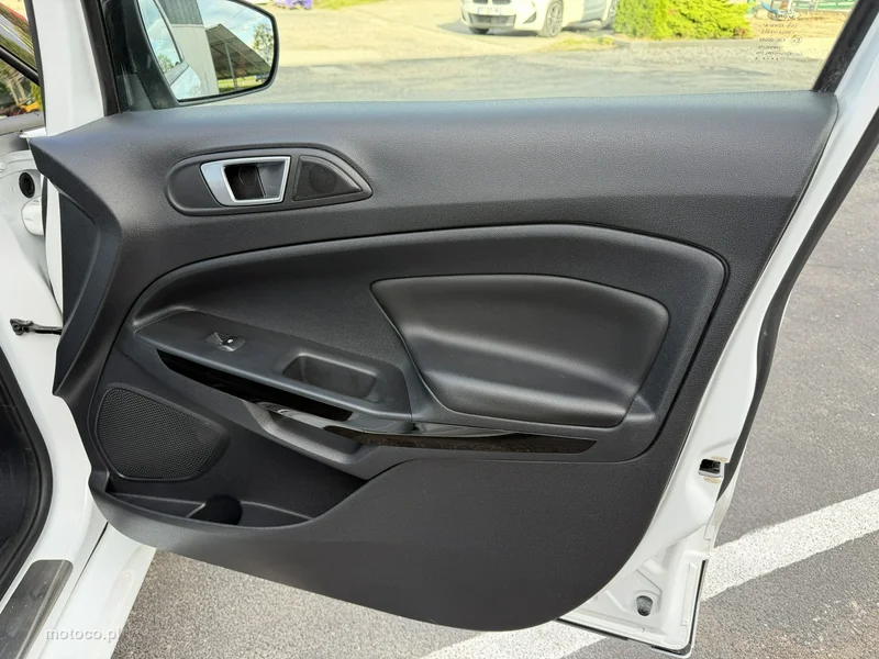 Ford EcoSport 33