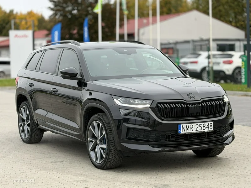 Skoda Kodiaq I 13