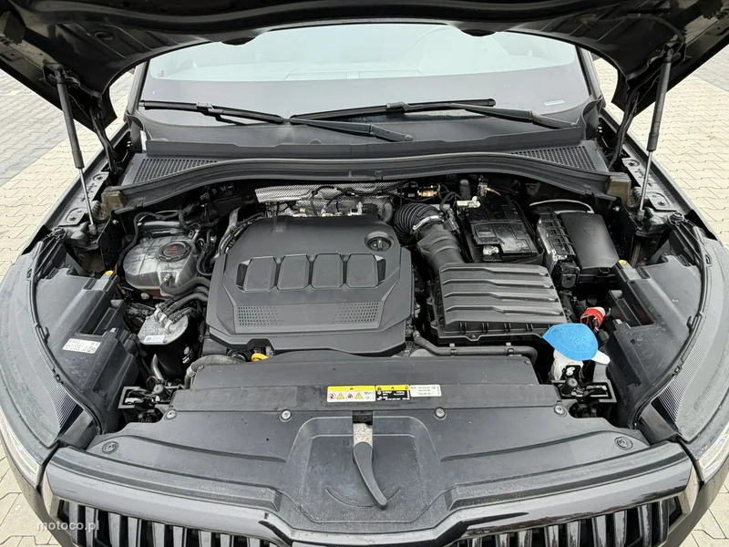 Skoda Kodiaq I 3