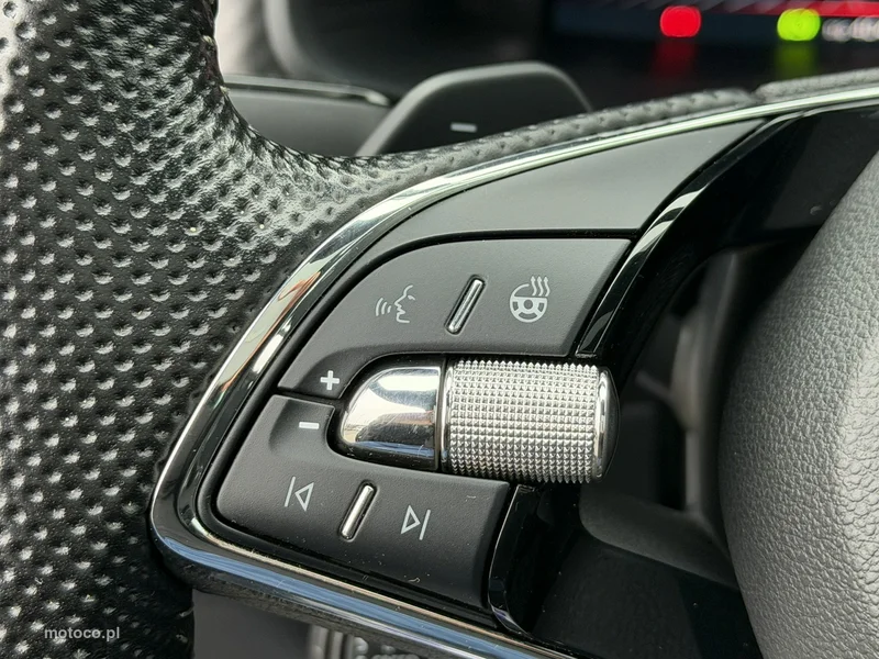 Skoda Kodiaq I 22