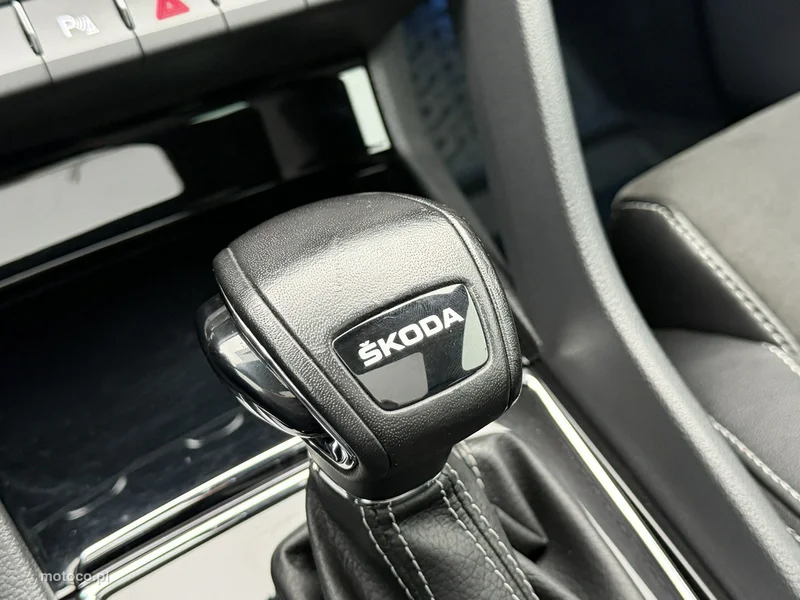 Skoda Kodiaq I 28