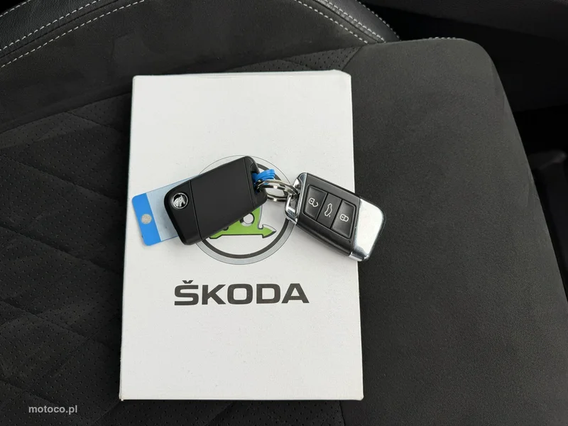 Skoda Kodiaq I 38