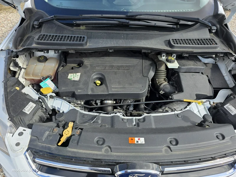 Ford Kuga II 17