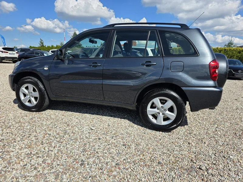 Toyota RAV 4 XA30 19