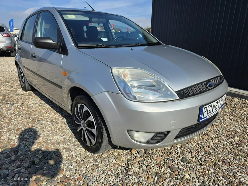 Ford Fiesta V 13