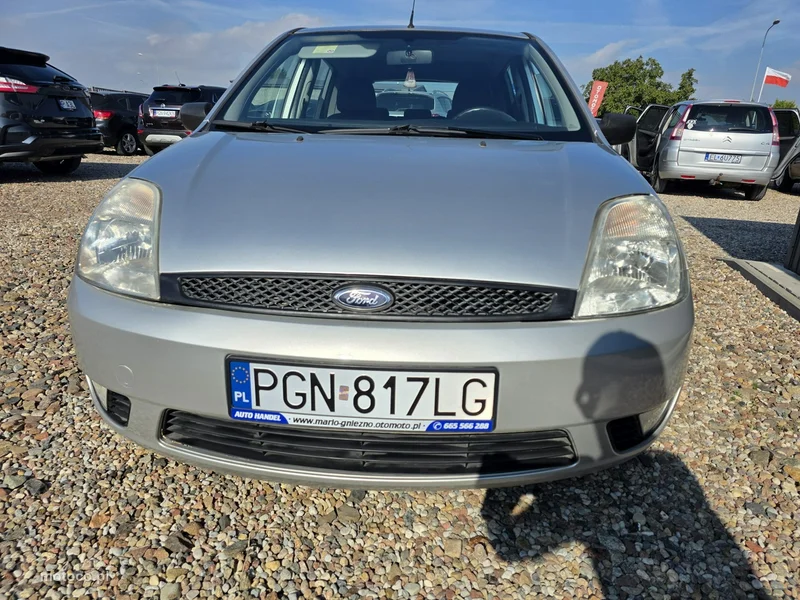 Ford Fiesta V 20