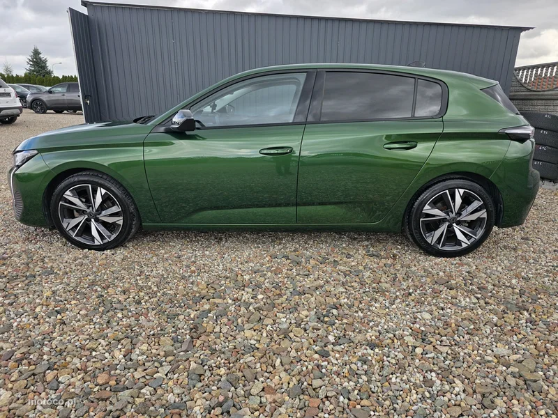 Peugeot 308 19
