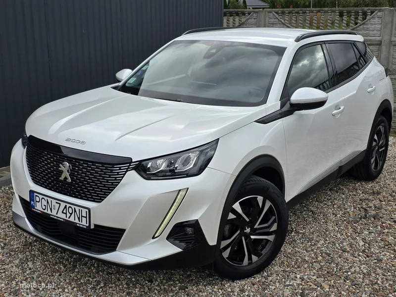 Peugeot 2008 29