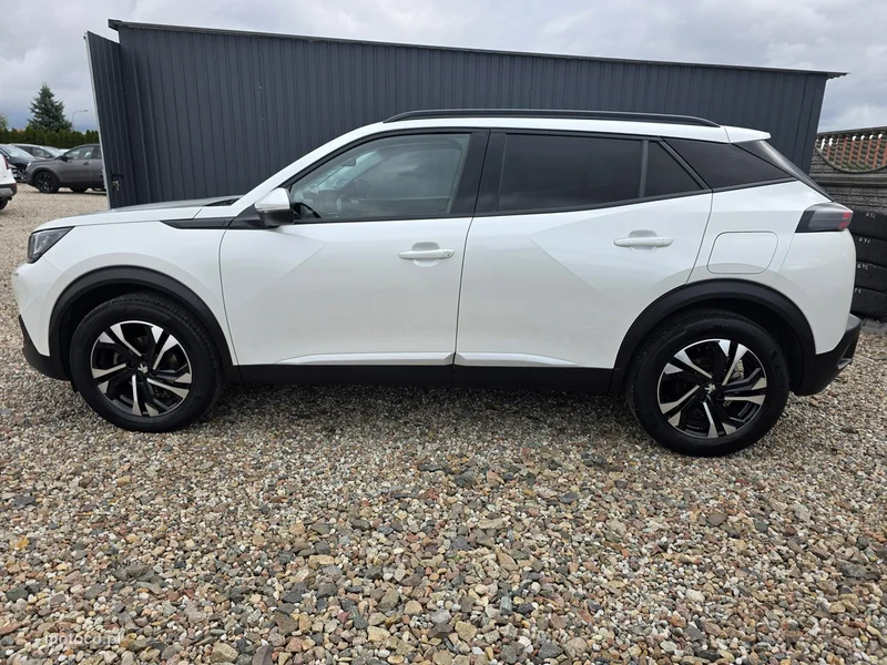 Peugeot 2008 42