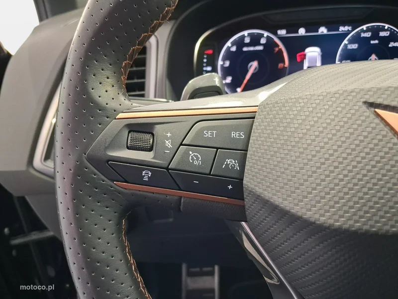 Cupra Ateca 16