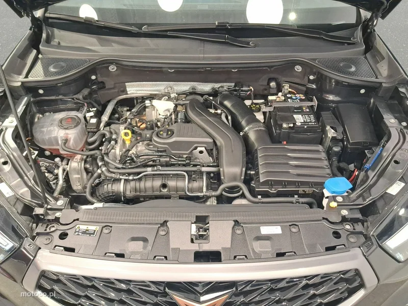 Cupra Ateca 24