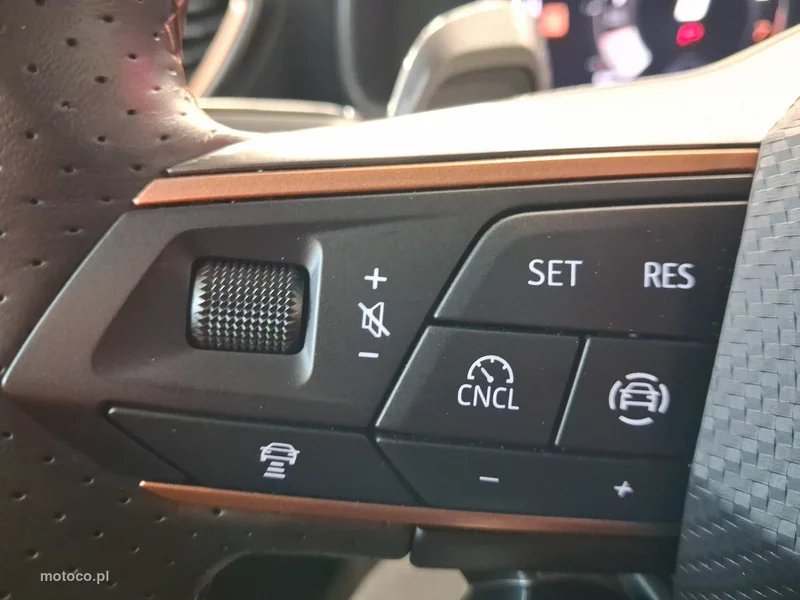 Cupra Formentor 22