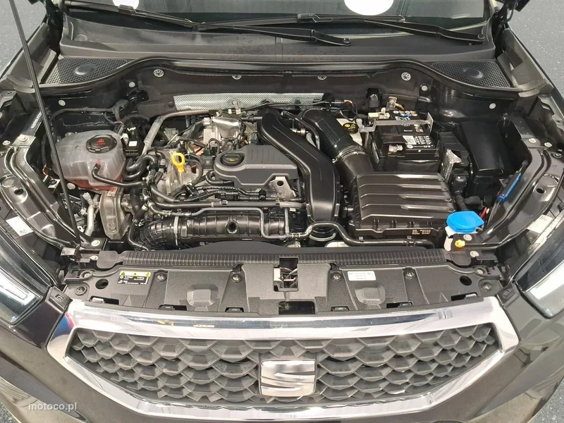 Seat Ateca 22