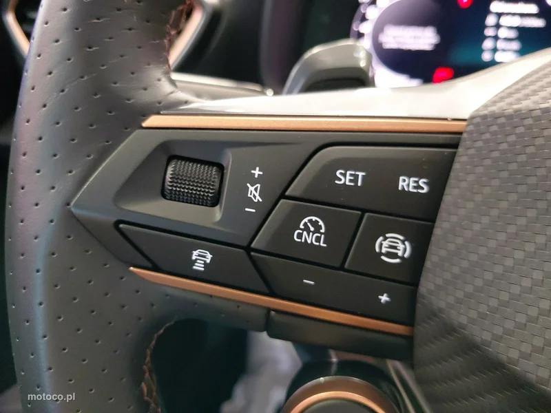 Cupra Formentor 22