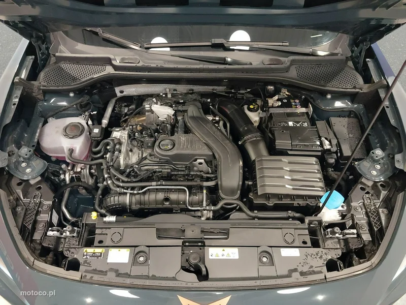 Cupra Formentor 39